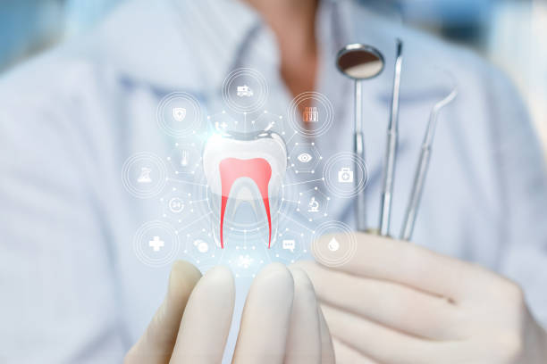  North Barrington, IL Holistic Dental Care Services Pros